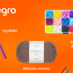 Allegro: Revolutionizing E-commerce with Convenient Shopping and Great Discounts