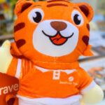 Elevate Your Travel Experience with BestPrice | The Leading Provider of Travel Services in Vietnam