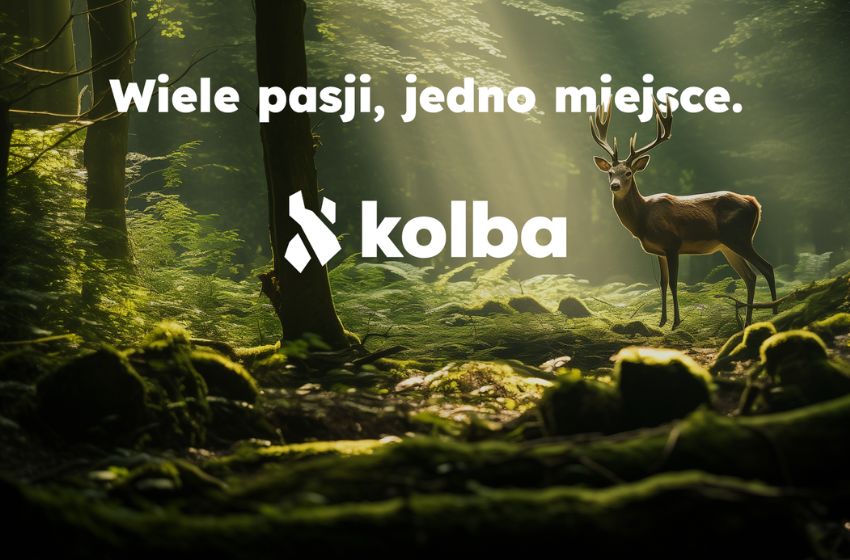 Flawed Products and Your Rights | Exploring Kolba’s Responsibilities