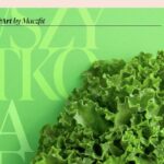 Maczfit | Revolutionizing Healthy Eating in Poland with Convenient Diet Delivery