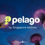 Navigating Singapore Like a Local | Insider Tips and Experiences from Pelago