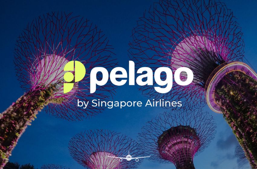 Navigating Singapore Like a Local | Insider Tips and Experiences from Pelago