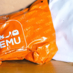 Temu: Redefining Online Shopping with Unmatched Variety and Value