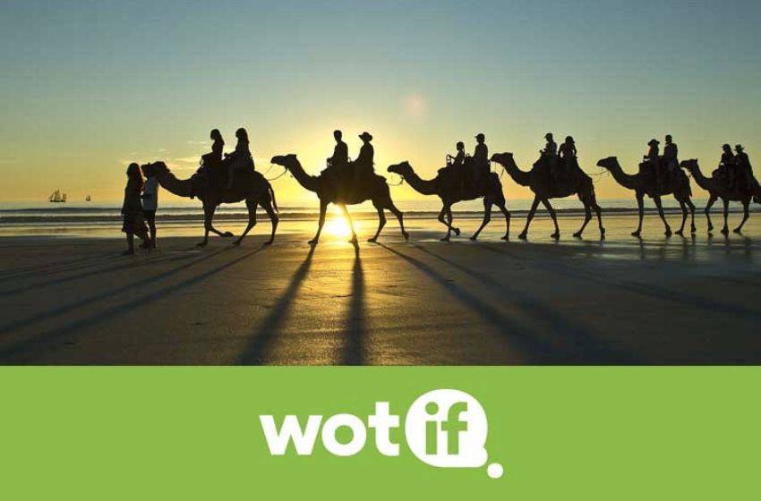 Unveiling the Thrill | Booking Your Adventures with Wotif